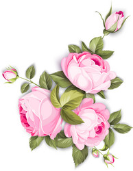 Elegant Rose Bouquet Vector Image