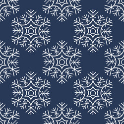 Elegant Snowflake Pattern vector image