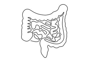 intestines human body organ continuous line vector