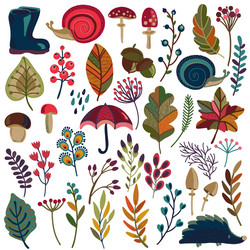 Autumn Leaf & Berry Set Vector Image