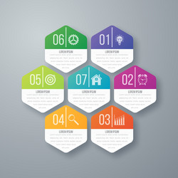 infographics seven hexagons vector