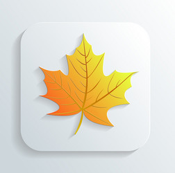 Red maple leaf cartoon Royalty Free Vector Image