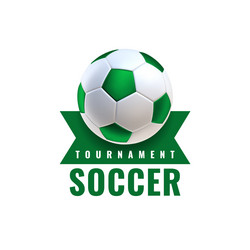 Soccer Ball Icons - Tournament & Club Set Vector Image