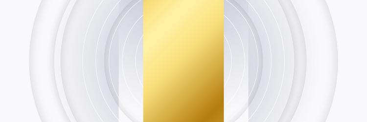 Modern minimal and clean white gold background Vector Image