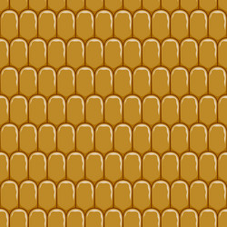 seamless pattern with corn cob texture maize vector image