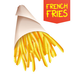 french fries potatoes ast food icons vector