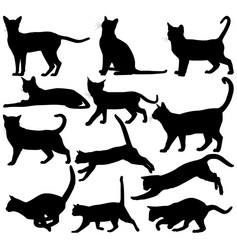Cat Silhouettes Vector Image