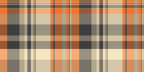 cosy pattern plaid difficult background fabric vector image