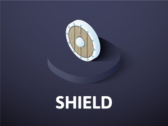 shield isometric icon isolated on color vector