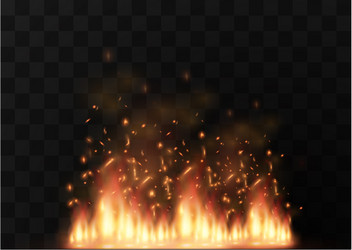 Realistic fire transparent special effect Vector Image