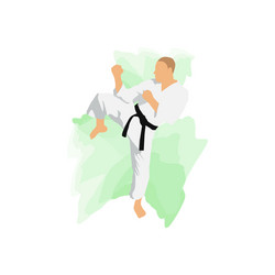 tokyo olympics karate martial art isolated vector