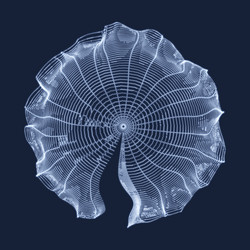 cobweb network background connection structure vector image