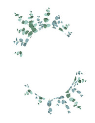 Eucalyptus tropical plant in form circle vector