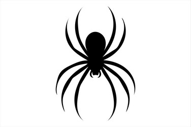 exploring arachnids understanding spiders vector image