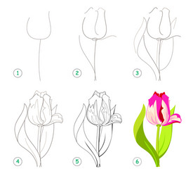 page shows how to learn step draw vector image