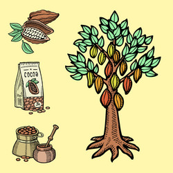 cocoa products hand drawn sketch doodle vector image