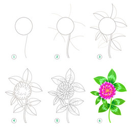 page shows how to learn step draw vector image