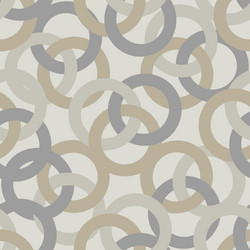 Overlapping Circle Pattern vector image