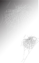 Intricate Spiderweb Pattern vector image