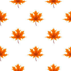 abstract autumn seamless pattern background vector image