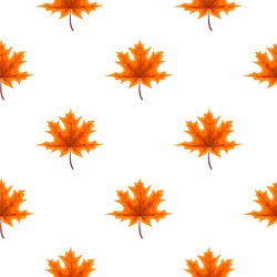 Abstract autumn seamless pattern background vector