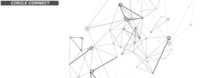 Digital Connection Network Pattern vector image