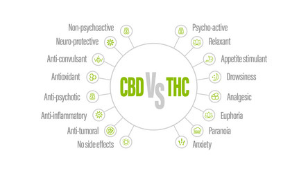 Green Farm CBD Gummies Reviews, Buy Now Use Once