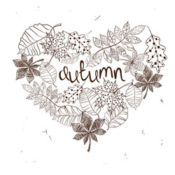 sketch patterned autumn leaves in a heart shape vector