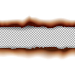 Burned Paper Edge Texture vector image