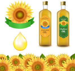 sunflowers and olive oils bottle white labels vector