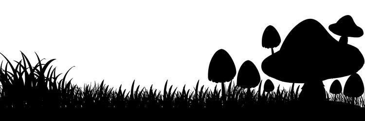 Mushroom Clipart Black And White Png Landing