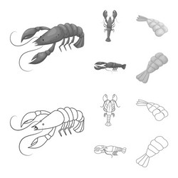 isolated object of appetizer and ocean symbol set vector image
