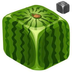 ripe juicy delicious square watermelon vector