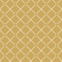 abstract geometric pattern with square lines vector image