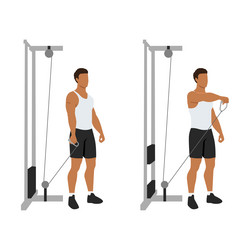 Woman doing forward front shoulder dumbbell raise Vector Image
