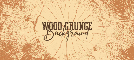 Rustic wood planks vintage background Royalty Free Vector