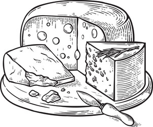 Cheese Sketch Collection Vector Image