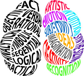 Left and Right Brains - Cognitive Concepts vector image