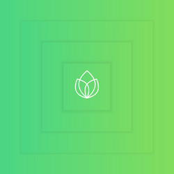 flat background for web elements vector image