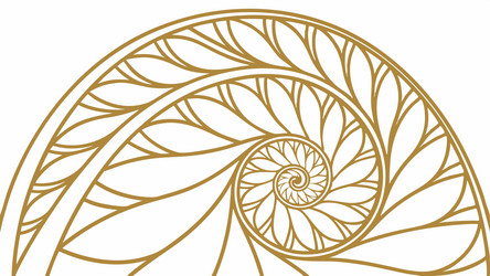 nautilus shell swirl abstract design generative vector image