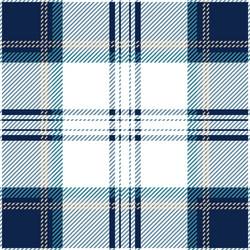 Blue tartan plaid seamless pattern vector