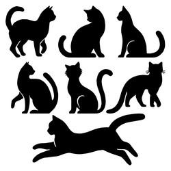Cat Silhouette Collection Vector Image