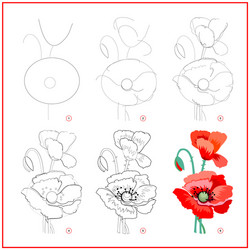 page shows how to learn draw step vector image