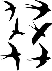 Swallow Silhouettes Vector Image
