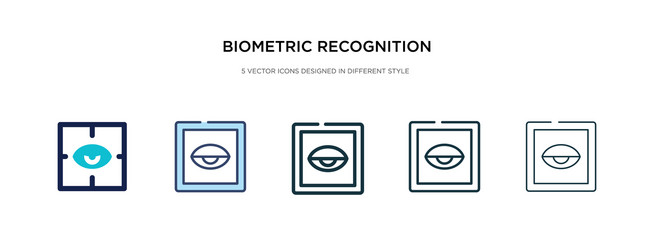 biometric recognition icon in different style vector image