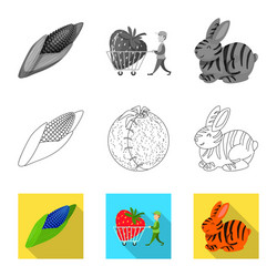 isolated object test and synthetic icon set vector image