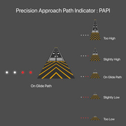 Precision approach path indicator vector