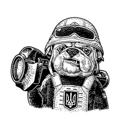 Dog Soldier with Grenade Launcher Vector Image
