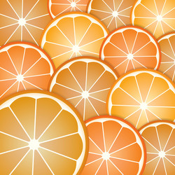 Abstract with pattern oranges slices vector