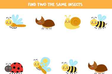 find two identical insects educational game vector image